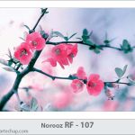 کارت تبریک نوروز کارت تبریک نوروز