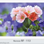 کارت تبریک نوروز کارت تبریک نوروز