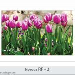 کارت تبریک نوروز کارت تبریک نوروز