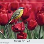 کارت تبریک نوروز کارت تبریک نوروز