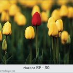 کارت تبریک نوروز کارت تبریک نوروز