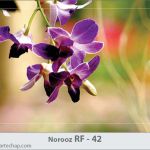 کارت تبریک نوروز کارت تبریک نوروز