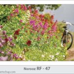 کارت تبریک نوروز کارت تبریک نوروز