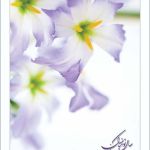 کارت تبریک نوروز کارت تبریک نوروز