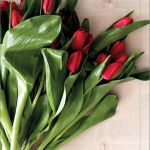 کارت تبریک نوروز کارت تبریک نوروز