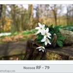 کارت تبریک نوروز کارت تبریک نوروز