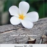کارت تبریک نوروز کارت تبریک نوروز