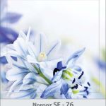 کارت تبریک نوروز کارت تبریک نوروز