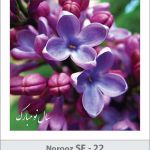کارت تبریک نوروز 97 SF (22) کارت تبریک نوروز 97 SF (22)