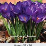کارت تبریک نوروز 97 SF (22) کارت تبریک نوروز 97 SF (22)
